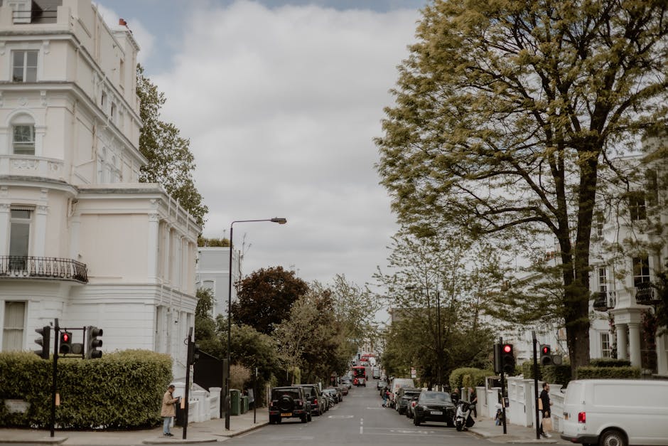 A quiet urban street scene with white Victorian-style residential buildings on both sides, featuring ornate architectural details and bay windows. Tall, leafy trees with green foliage line the sidewal