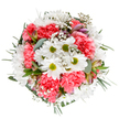 A bouquet overflowing with the freshness of spring, this arrangement echoes the friendly vibrancy of Willesden itself. Central daisies, pure and white with lively green centers, bask amid a joyful profusion of coral-pink carnations, their ruffled petals swirling like festive ribbons during a carnival at Mapesbury Dell. Scattered between are airy clusters of baby's breath, lending softness and a sense of uplift, while subtle alstroemeria buds peak out with traces of purple and blush, signaling new blooms on the horizon. Lush greenery, including cool eucalyptus and deep forest-green sprigs, gather beneath the blossoms to anchor the whole design, much like the quiet gardens and leafy side streets supporting the bustle of Willesden. The careful round composition exudes both balance and movement-a floral embrace that uplifts any setting, from a birthday breakfast table to a comforting bedside. This beautiful, thoughtfully crafted bouquet is available for prompt delivery throughout Willesden and North London, a testament to the artistry and local pride of Willesden Florist.